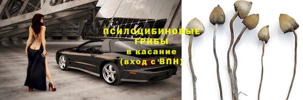 соль курить ск Липки