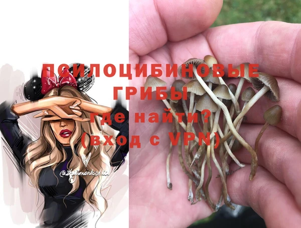 метадон Лиски