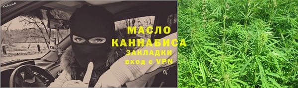 спиды Каменногорск