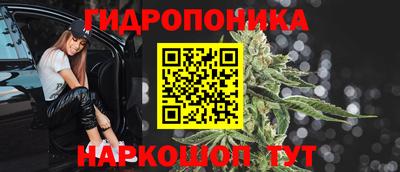 шишки Донской
