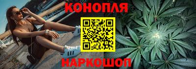 шишки Донской