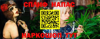 дурь Берёзовский