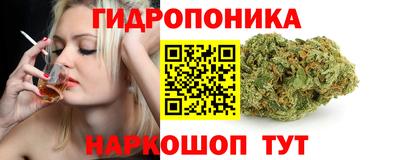шишки Донской