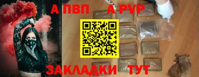 шишки Донской