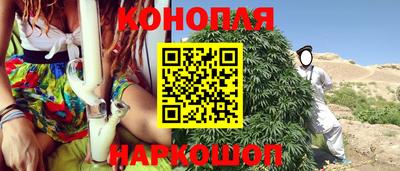 шишки Донской