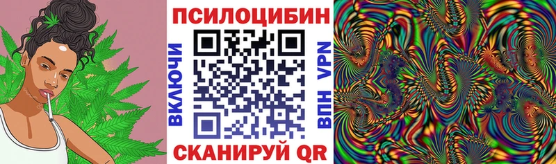 Галлюциногенные грибы GOLDEN TEACHER хочу наркоту Шали