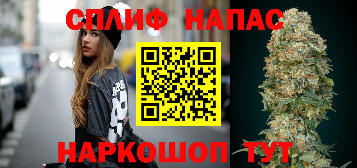 Конопля семена  Конопля индика  Шали  Шишки марихуана сатива 